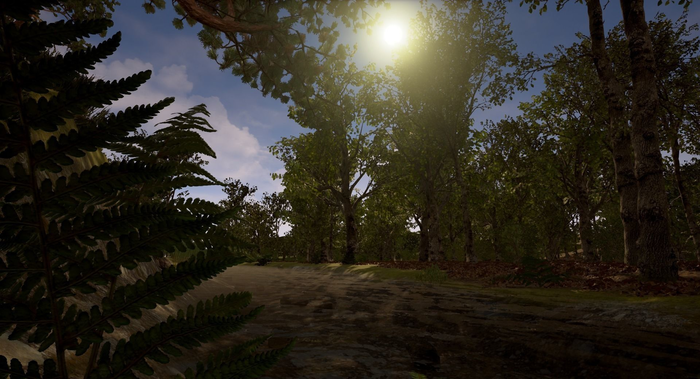 forest scene cgtrader