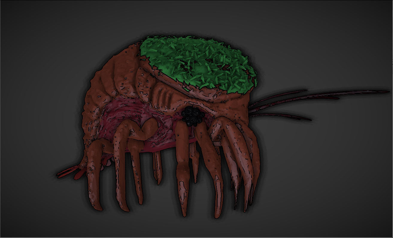 greenhead lobster creature 3D model