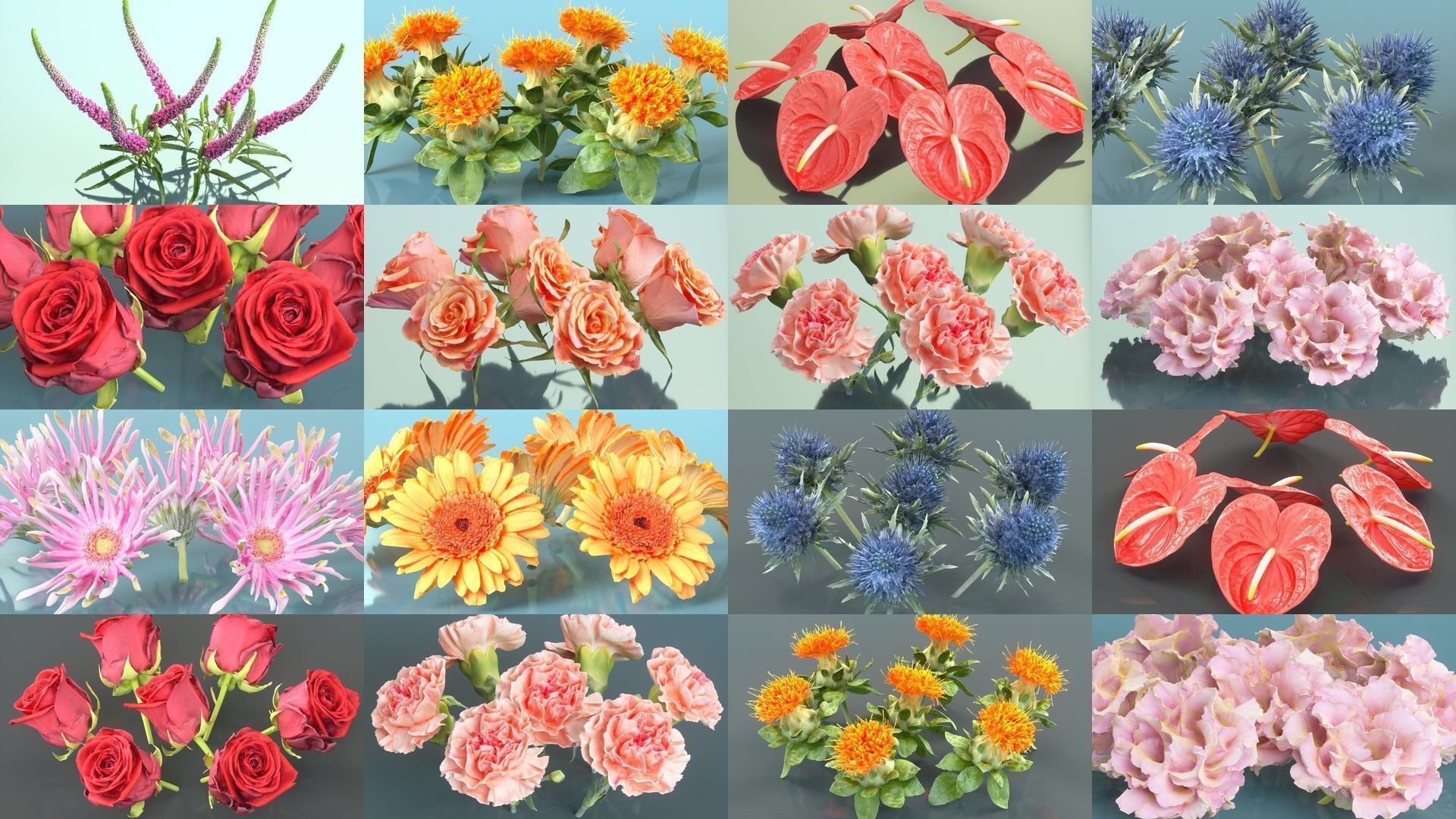 10 Flowers Collection