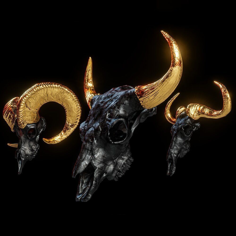 Horned Mammal Skull 3D Model Pack 3D model | CGTrader
