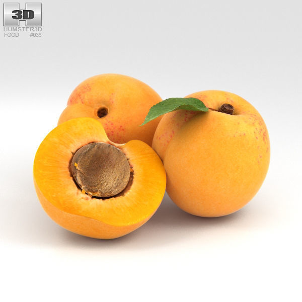 Apricot