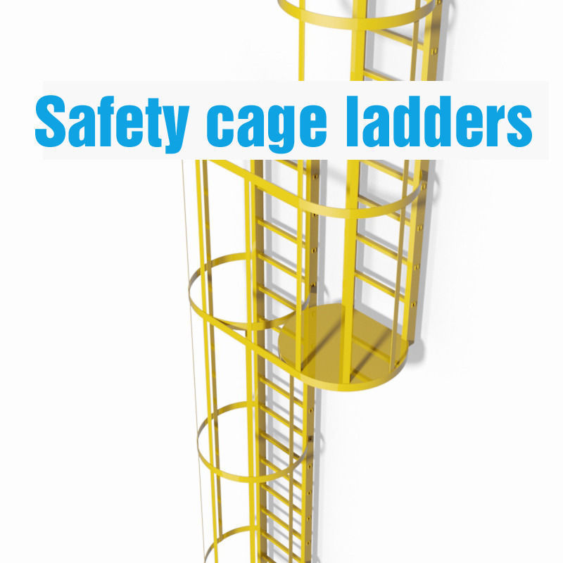 Double safety cage ladder 3D model