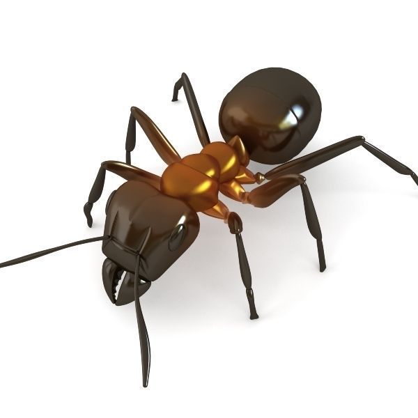Red Ant 3D model