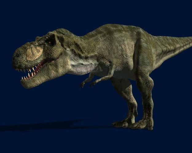 t rex jp