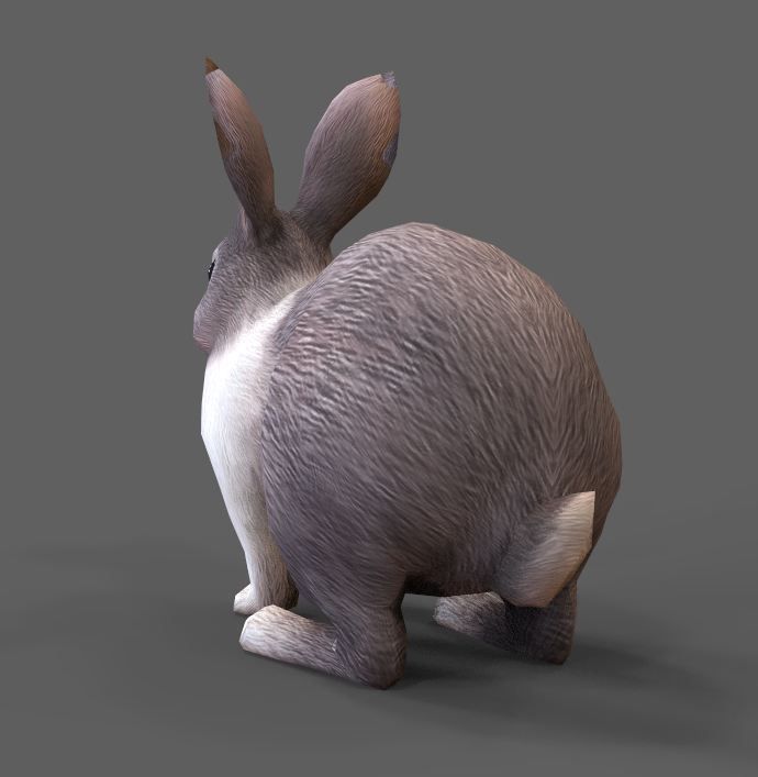 3D model rabbit VR / AR / low-poly FBX MA MB TGA - CGTrader.com