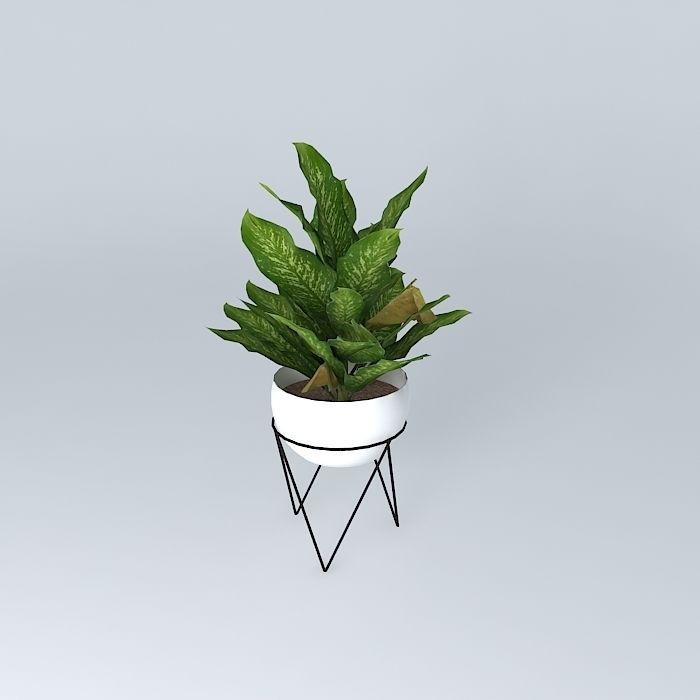 West Elm Iris Planter and Chevron Stand free 3D model CGTrader