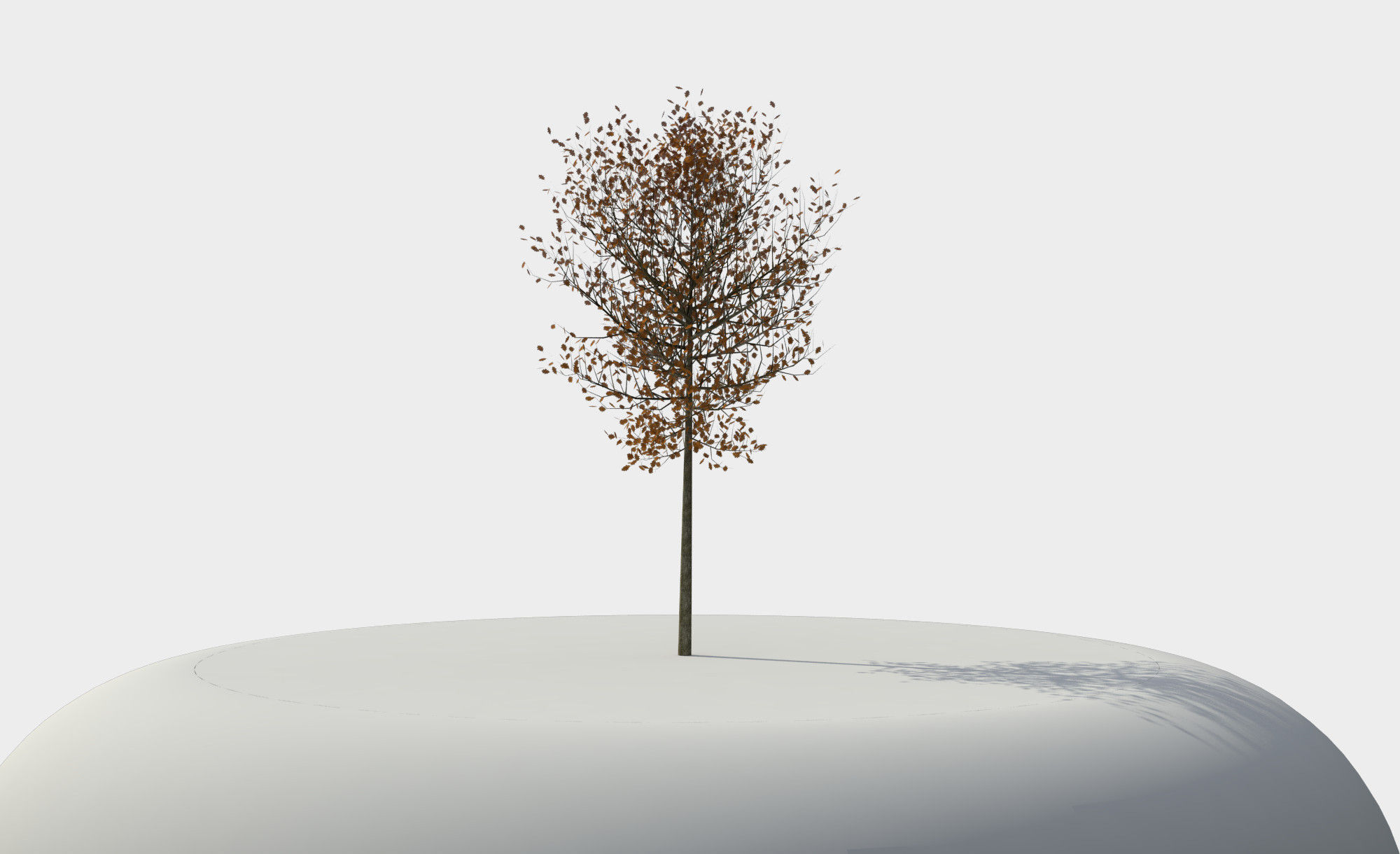 rhino tree model 3dm rhino tree model 3dm