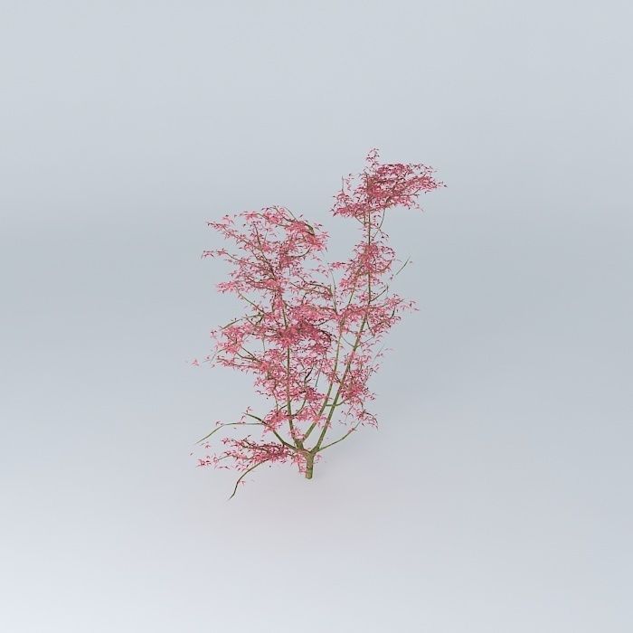 3D tree 3D tree shrub 3D model