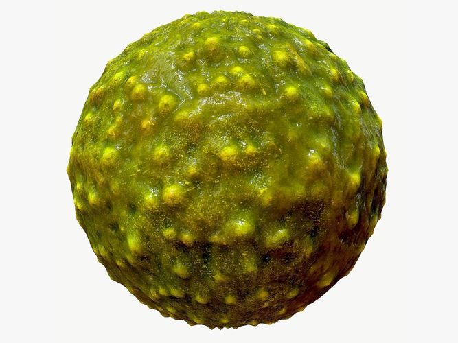 Alien Skin 01 PBR Texture Texture | CGTrader