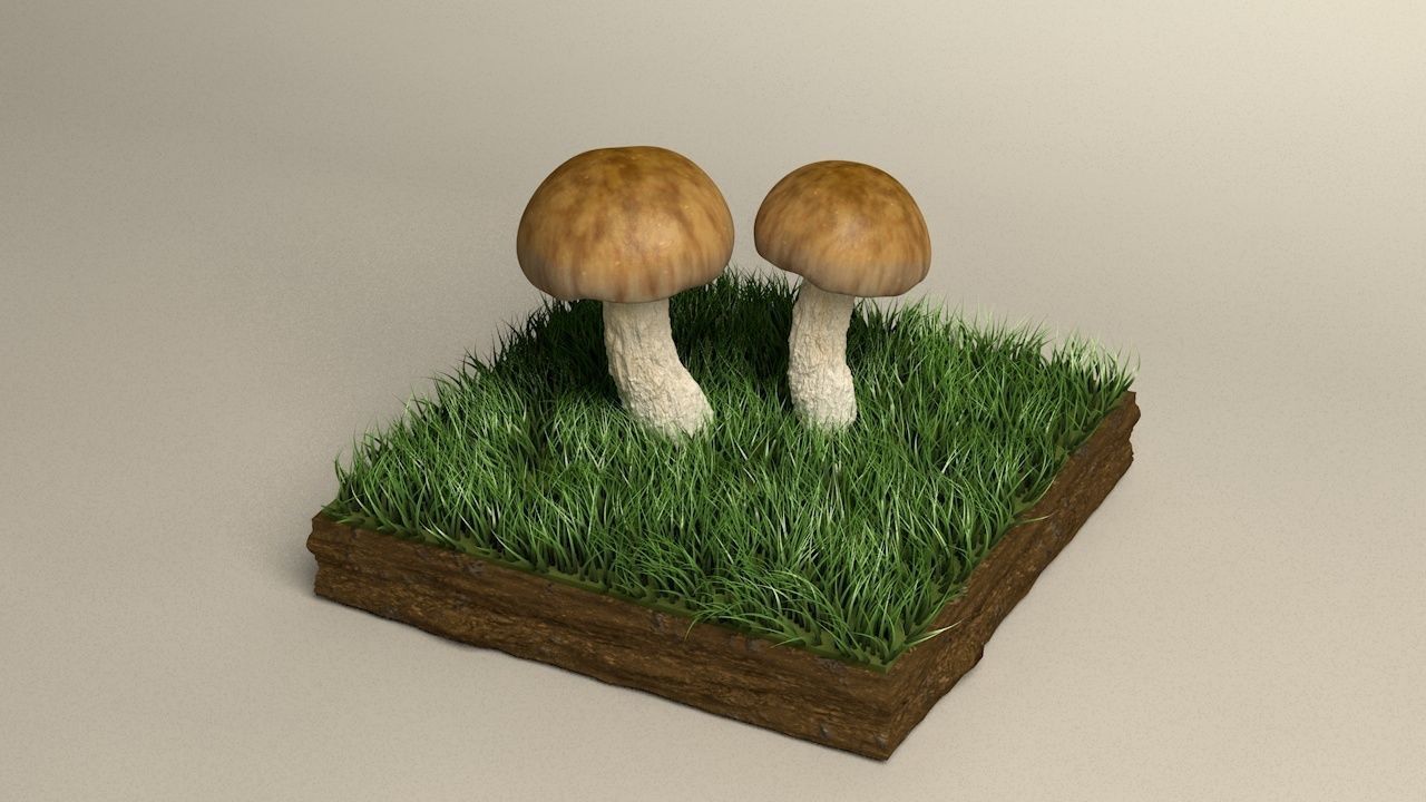 mushroom shiitake 3D model