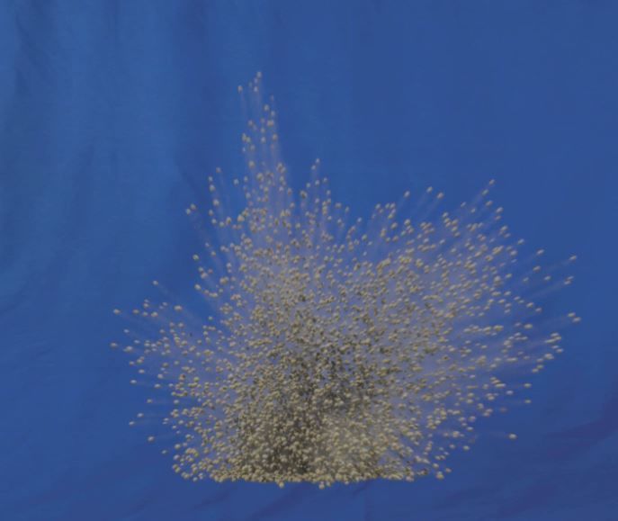 Houdini Sand and Smoke Impact Explosion Toolkit