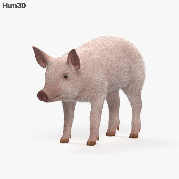 Piglet HD