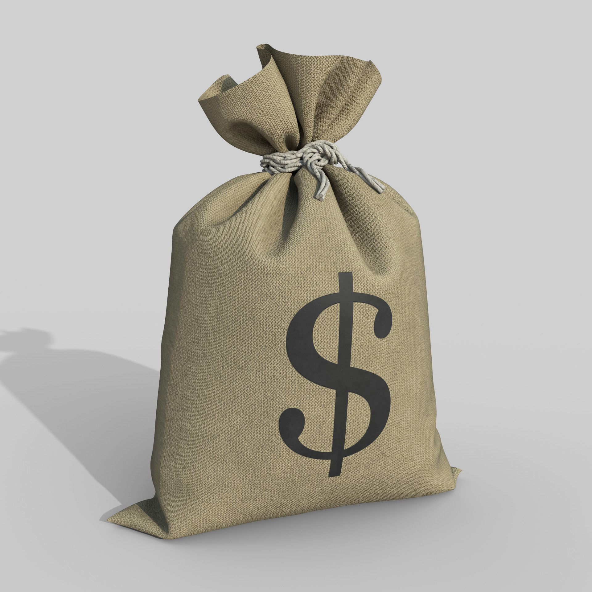 Money Bag