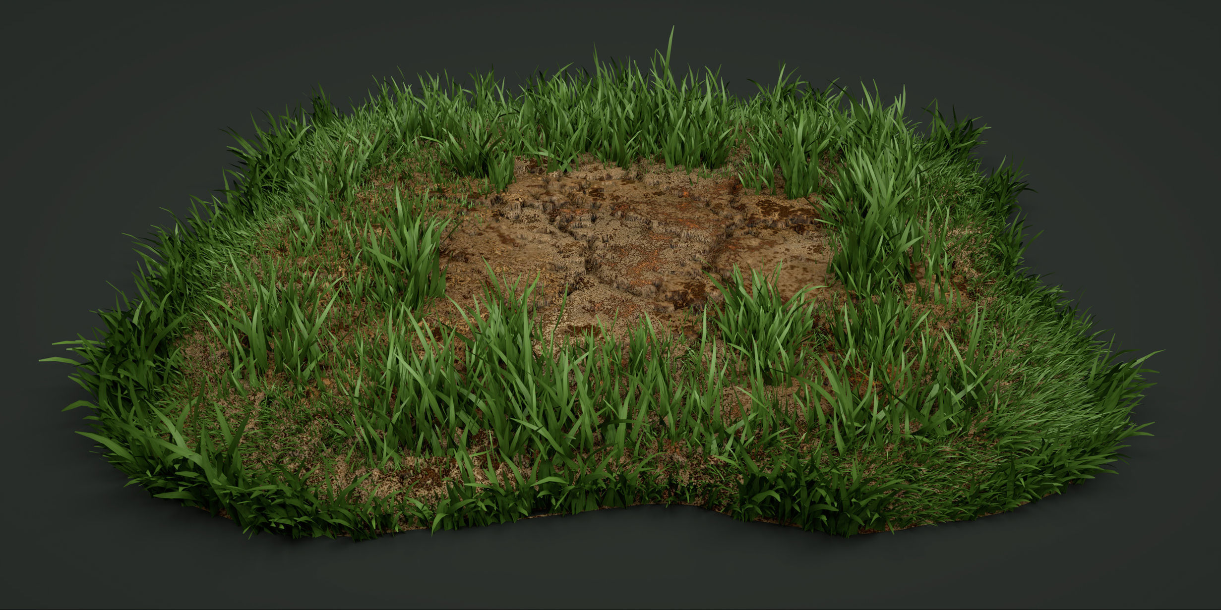 3D asset A detailed model of the grass CGTrader