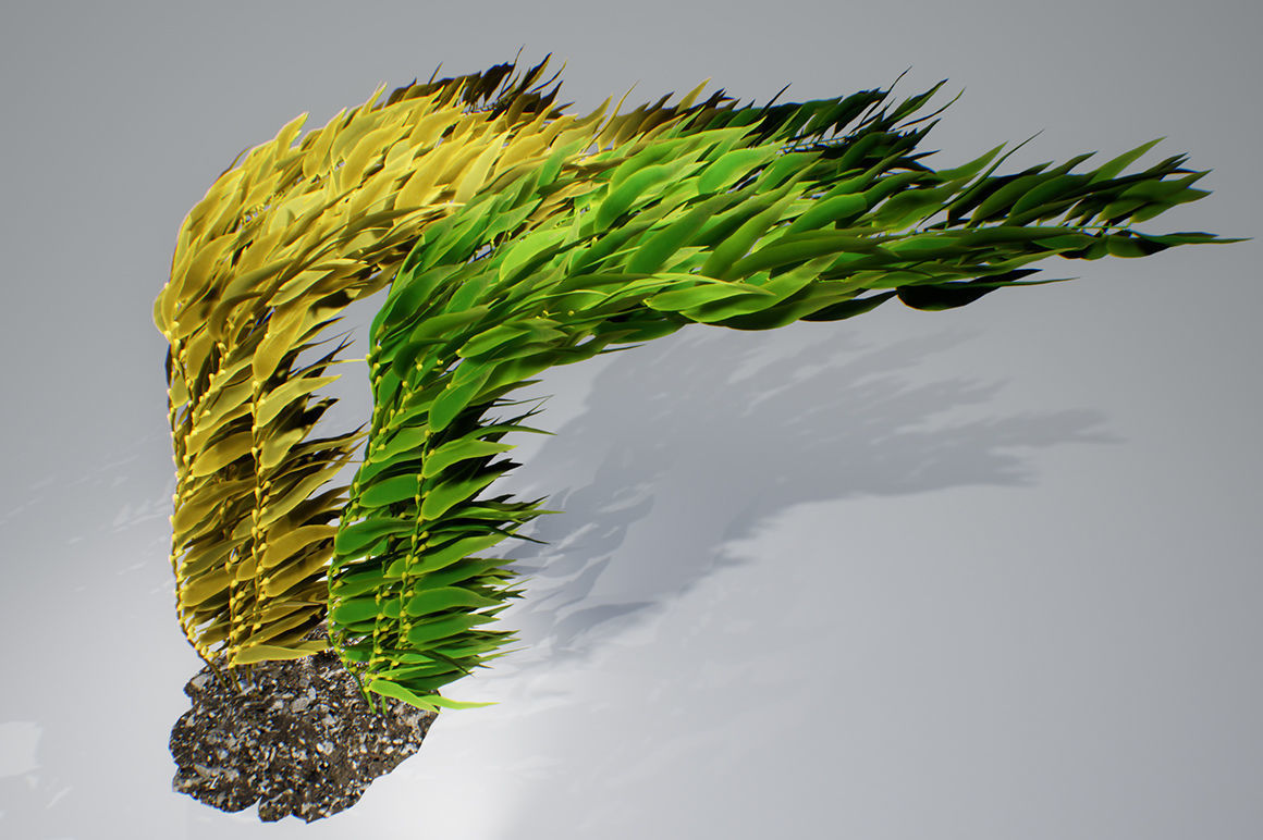 Kelp bush V2 3D model