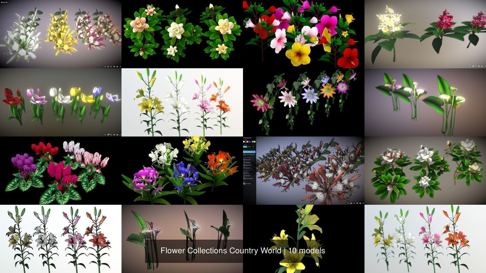 Flower Collections Country World