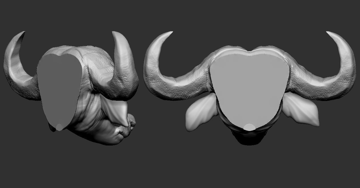 African Buffalo head 3D model 3D printable | CGTrader