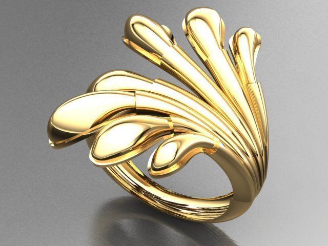 Fancy Ring 3D print model