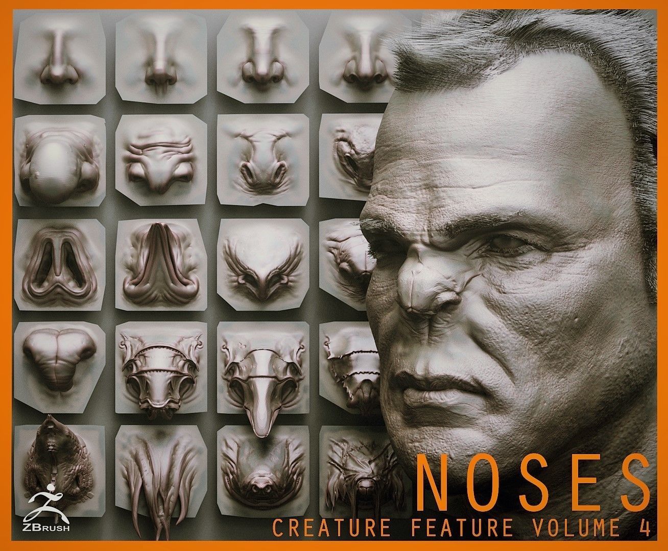 NOSES - 40 ZBrush VDM Nasal Areas