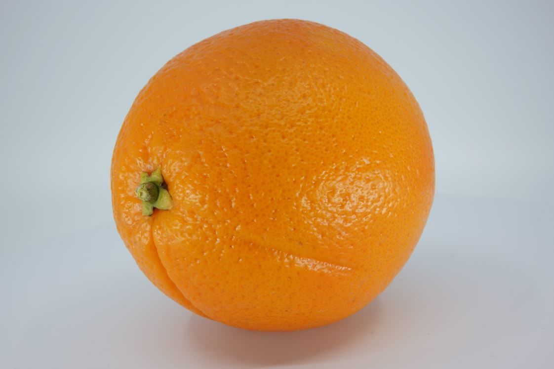 Realistic - Orange