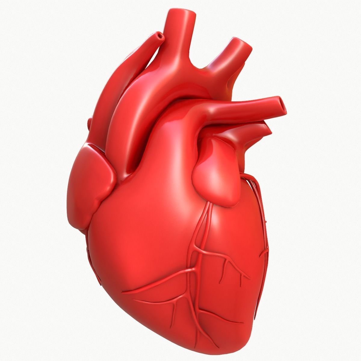Unduh 90 Human Heart Wallpaper Iphone Gambar Terbaru Posts id