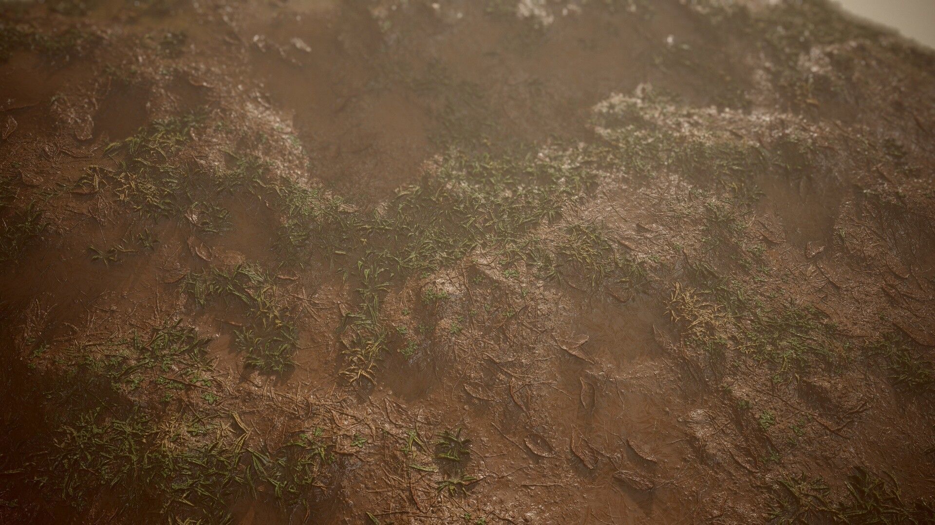 Mud Grass