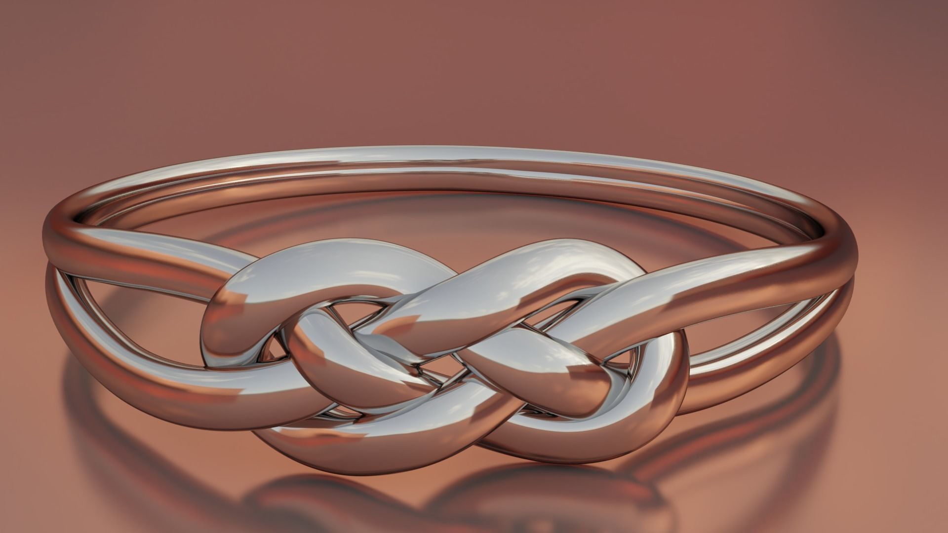 Knotted ring 3D print model