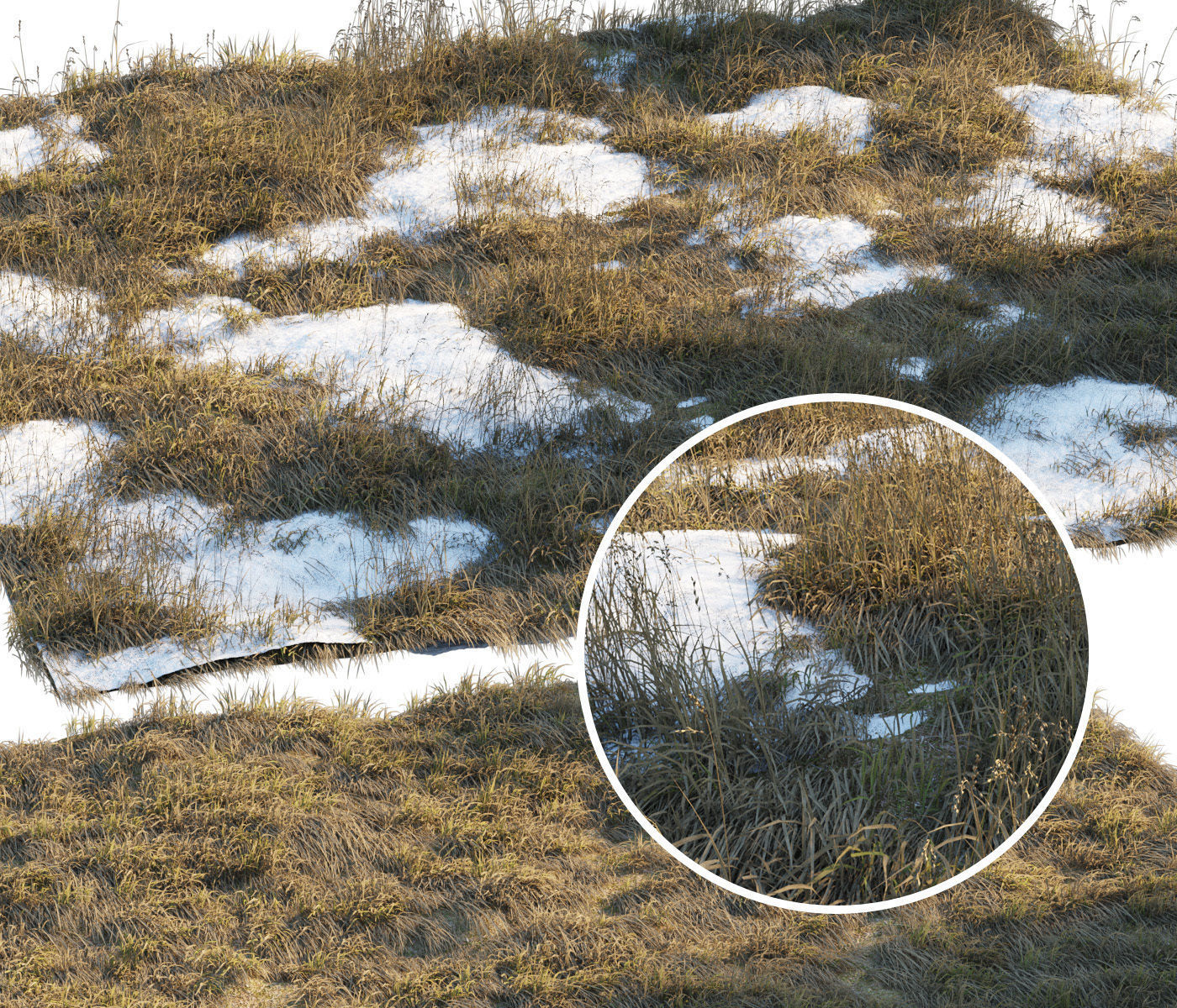 Thawed grass