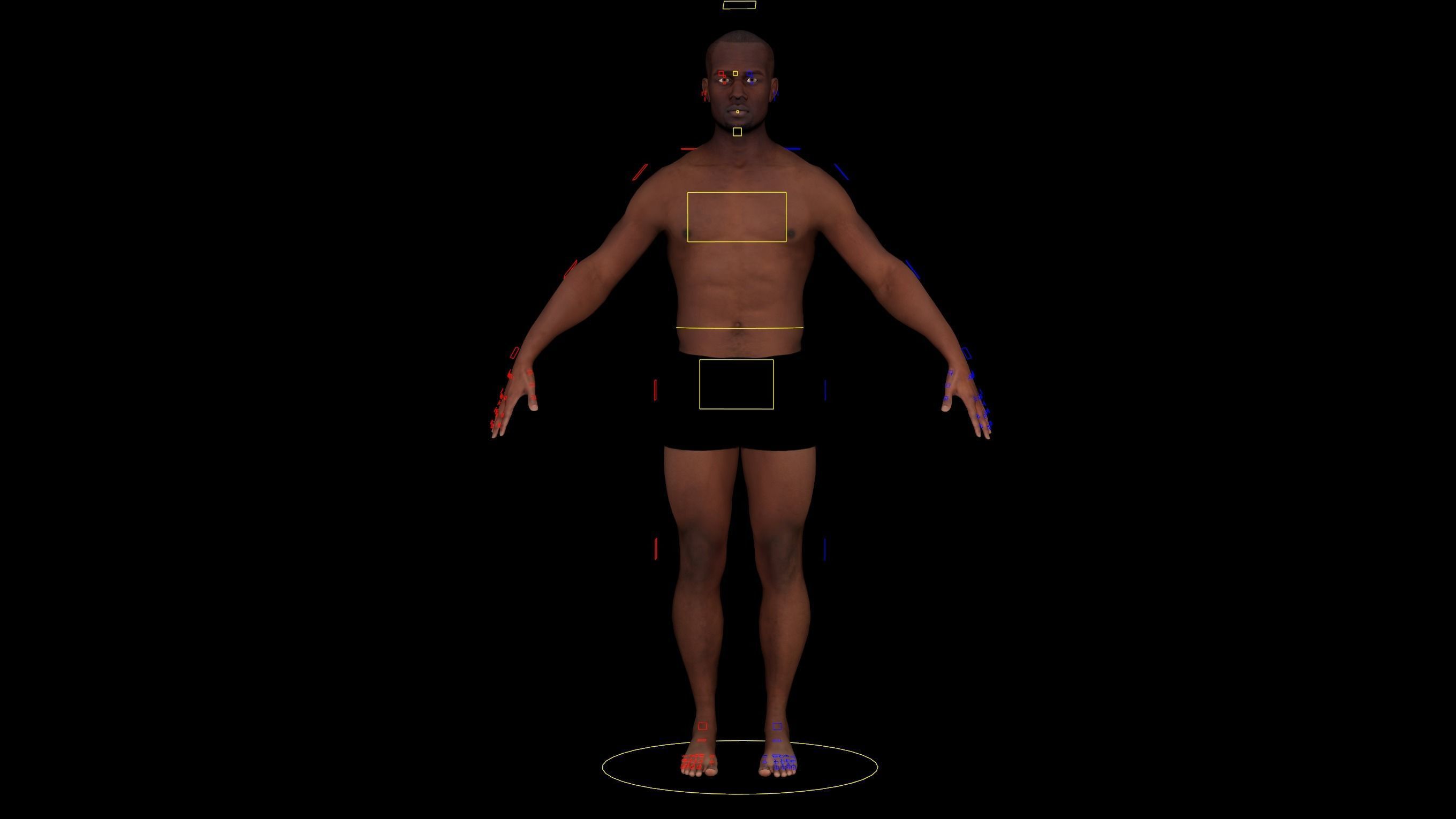 Wide Body Gui 3D model Cinematic Male 002 - Advanced Body Rig - Face Rig - GUI VR ...