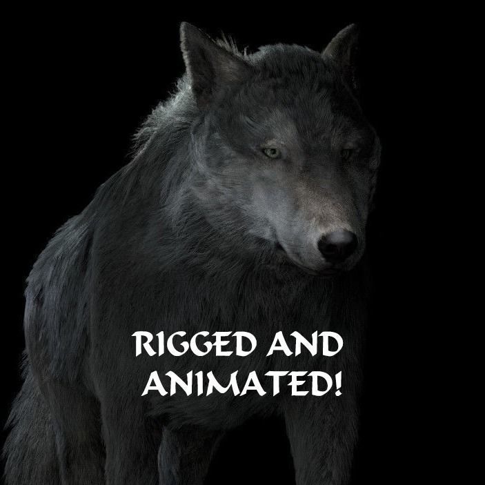 Grey wolf rigged and animated and polar light