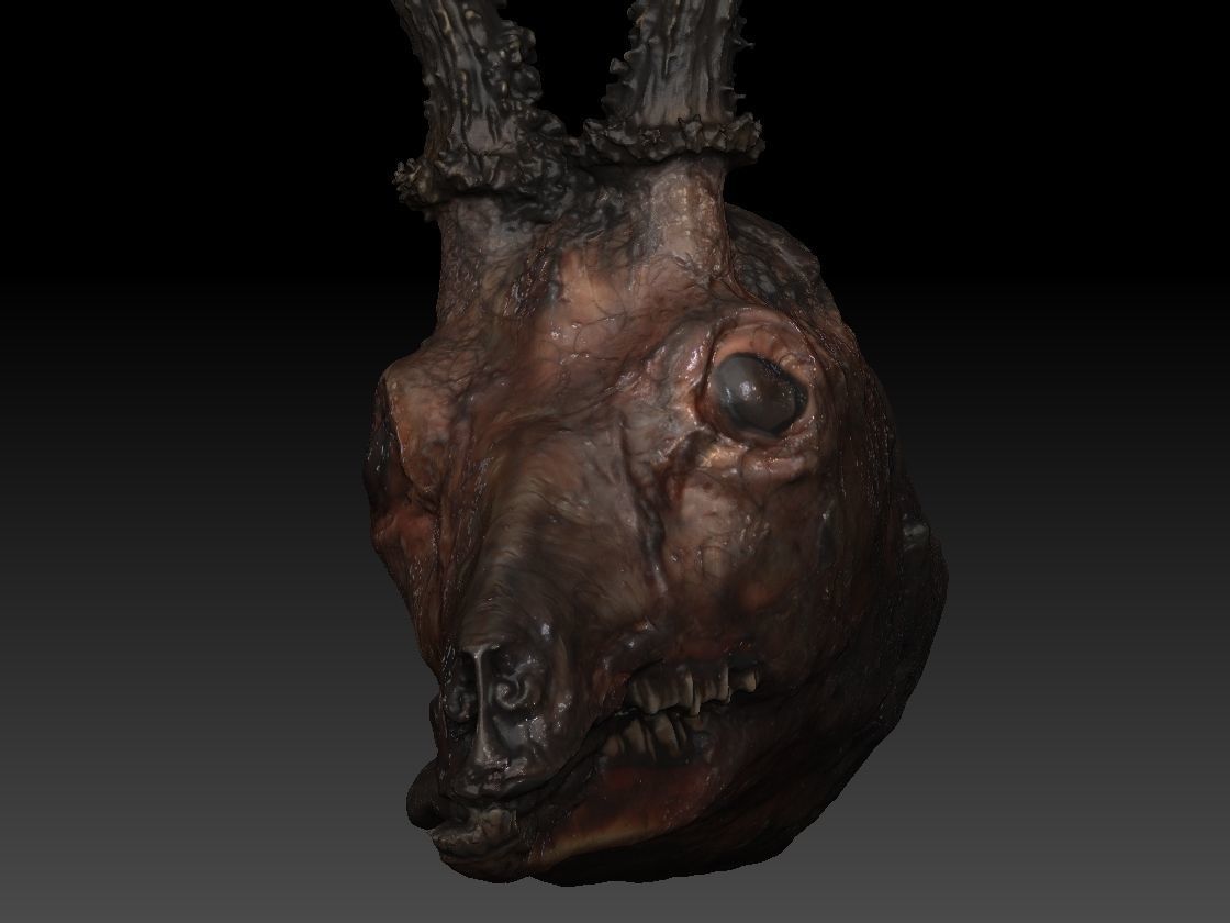 Skinned Deers Head High Detail Scan With Texture 3D model