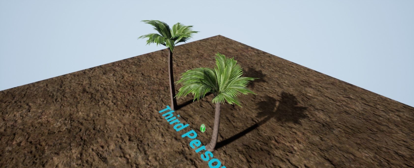 2 Coconut Palm Tree Pack for Games PBR free VR / AR / lowpoly 3D model