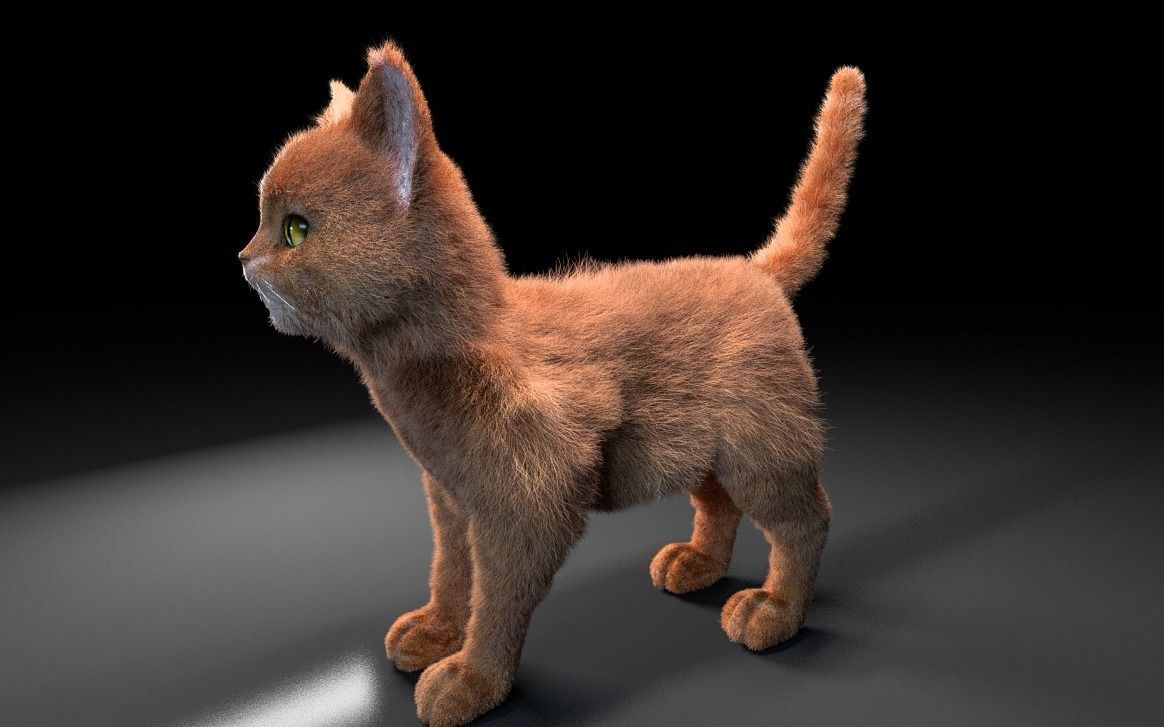 Cat Rigged Hair 3D model