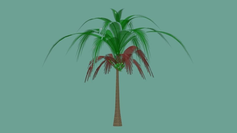 coconut tree Low-poly  3D model