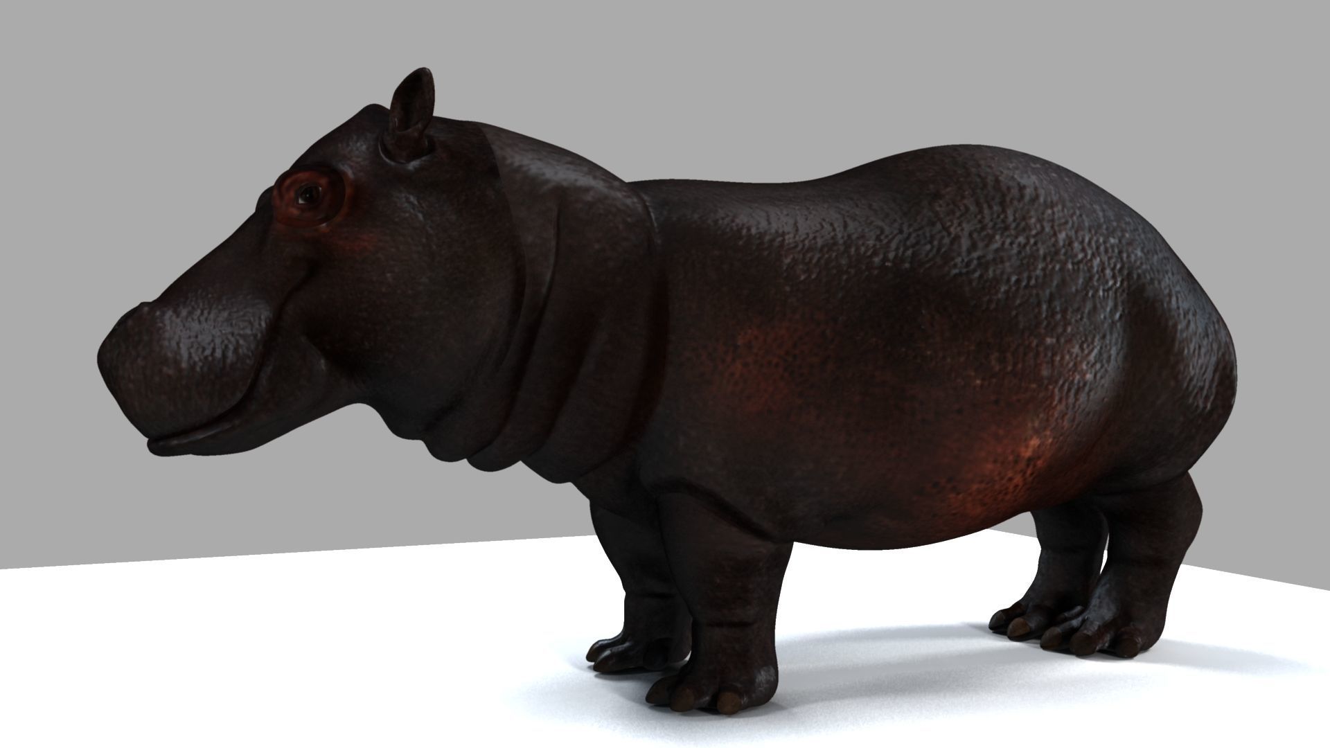 Hippopotamus 3D model