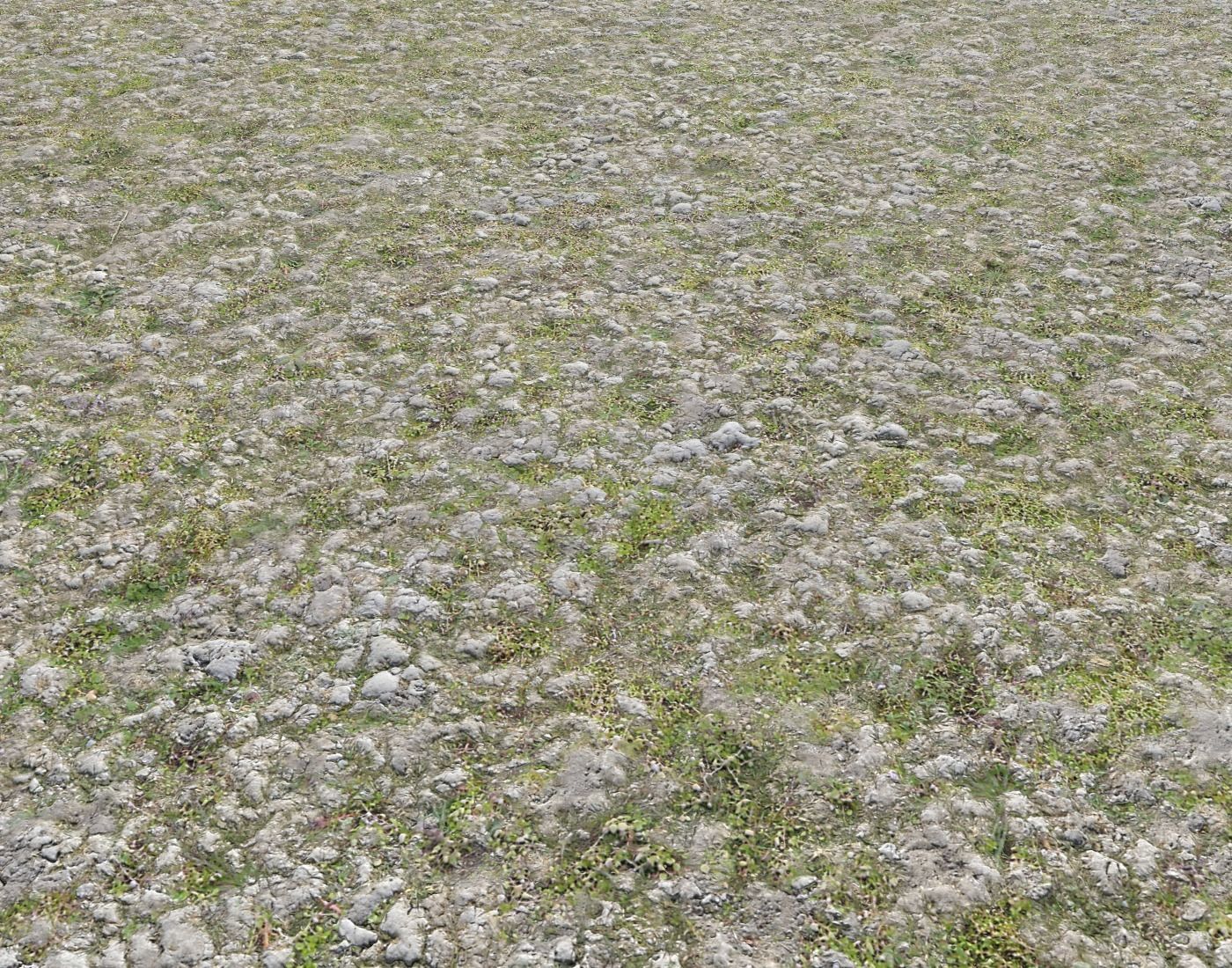 Rocky grass Terrain 3 PBR Texture | CGTrader