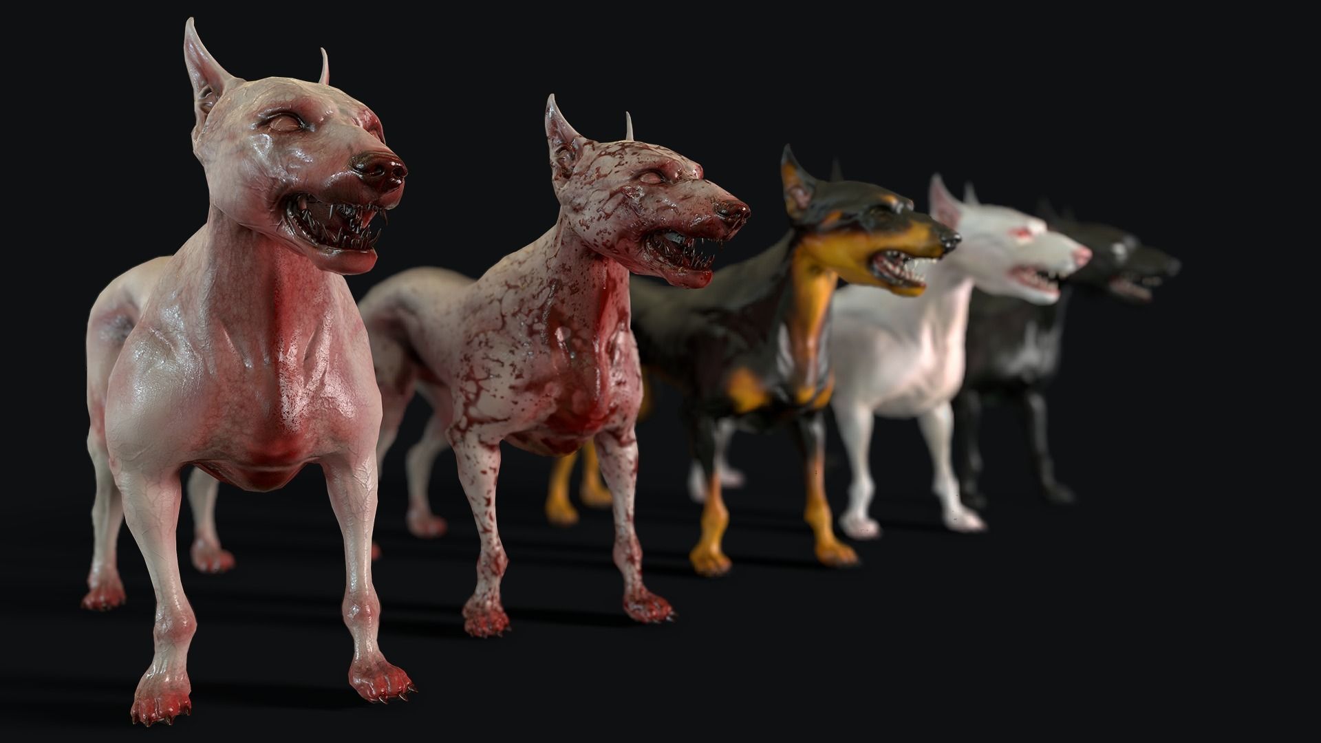 Combat Dog