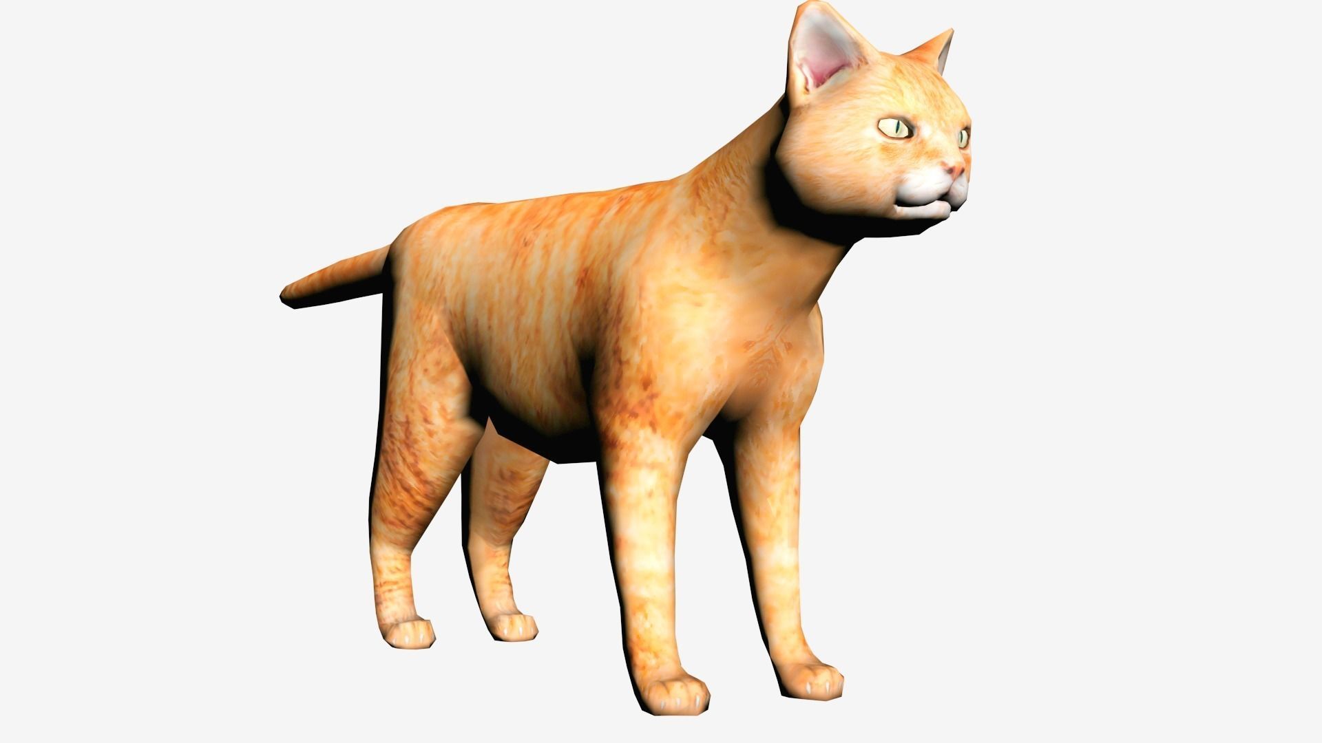 Cat 3D model Low-poly 3D model
