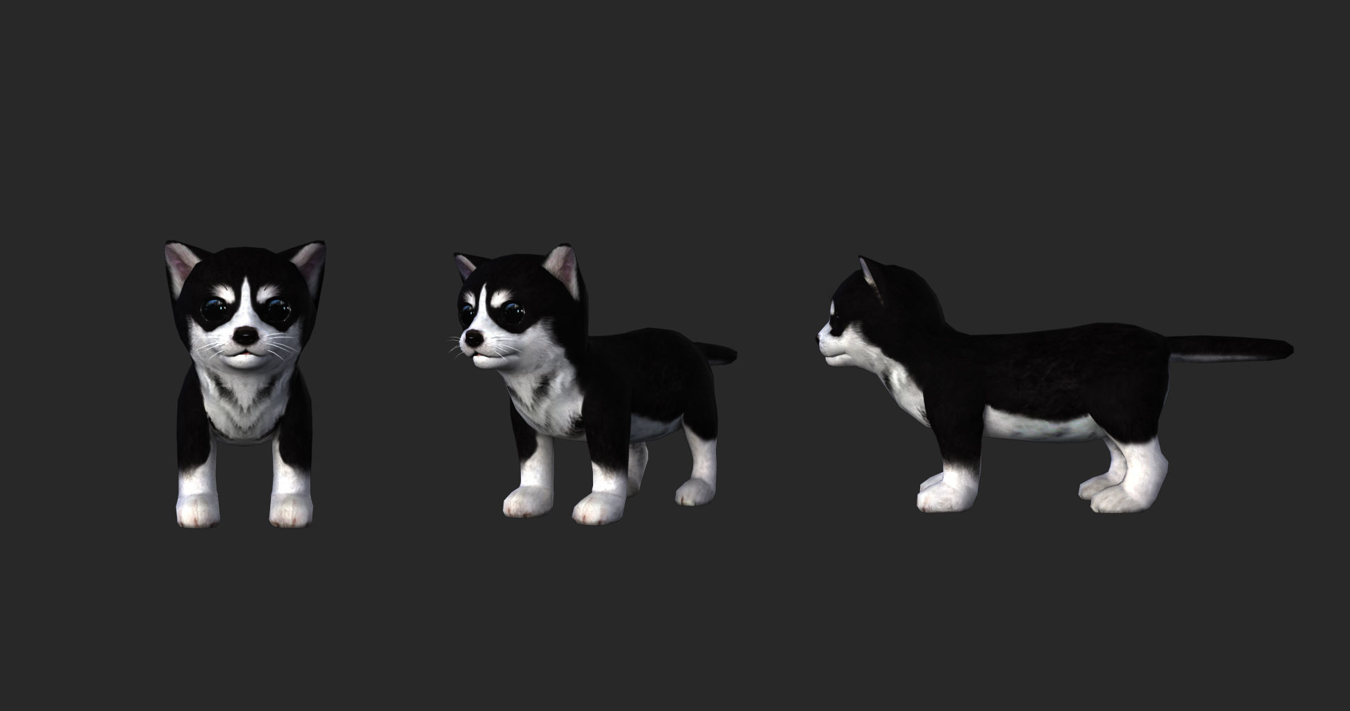 Cute dog model material file 3D model