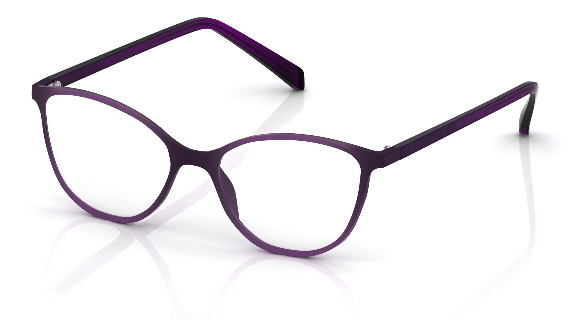 Eyeglasses for Men and Women 3D print model