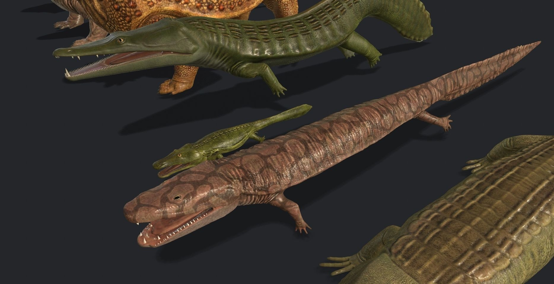 3D model extinct animals VR / AR / lowpoly CGTrader