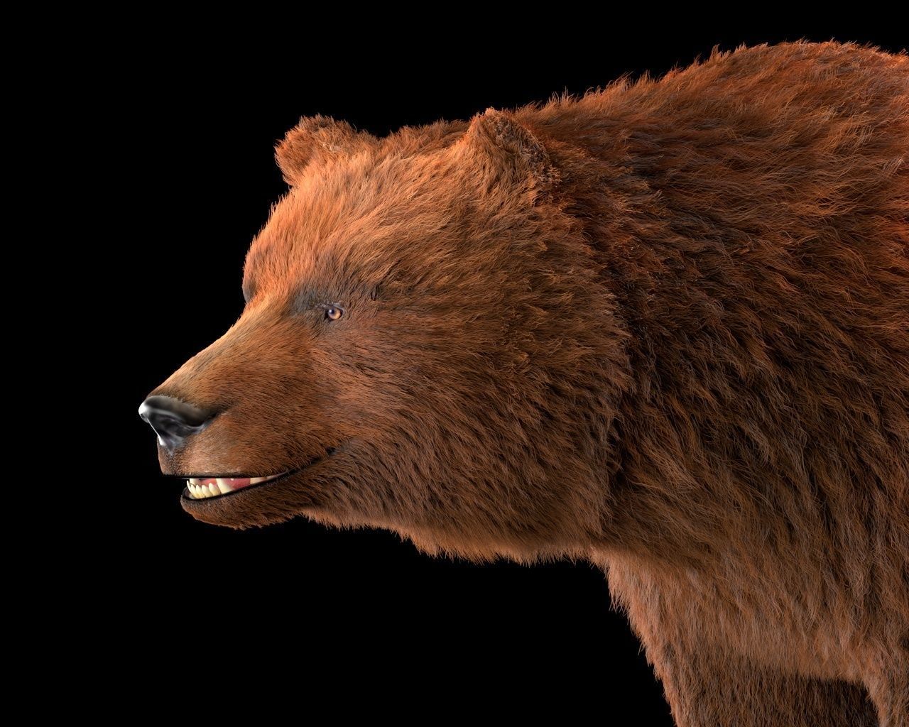 Grizzly Brown Bear Rigged Hairs Low-poly 3D model