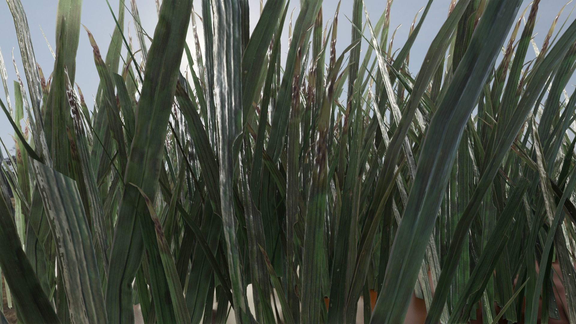 ULTRA REALISTIC GRASS FOLIAGE