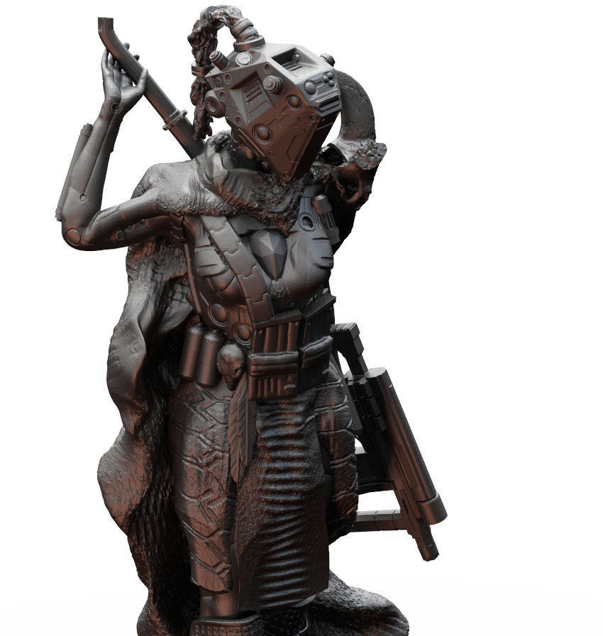 Sci Fi Female Fighter Pirate Raider