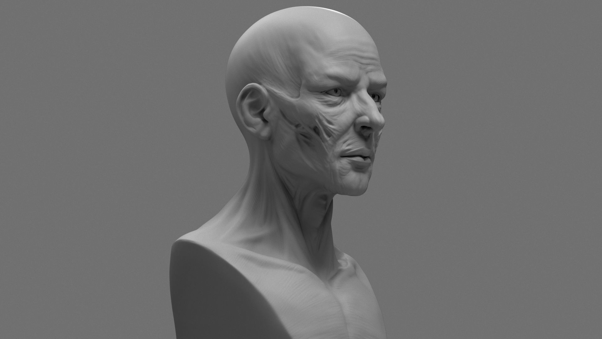 portrait 3D print model Stylized Anatomy Face | CGTrader