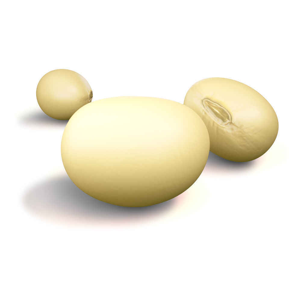3d model soybean