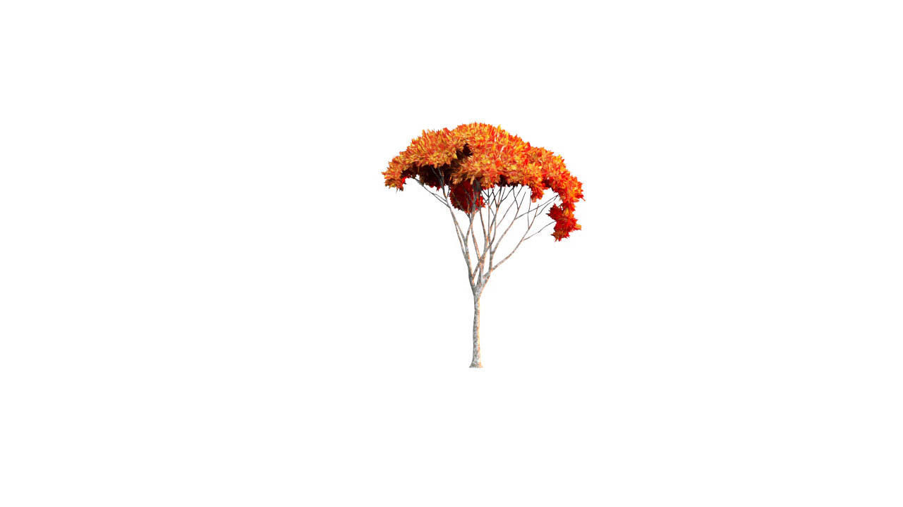 Low Poly Tree Autumn Stylish Low-poly 3D model