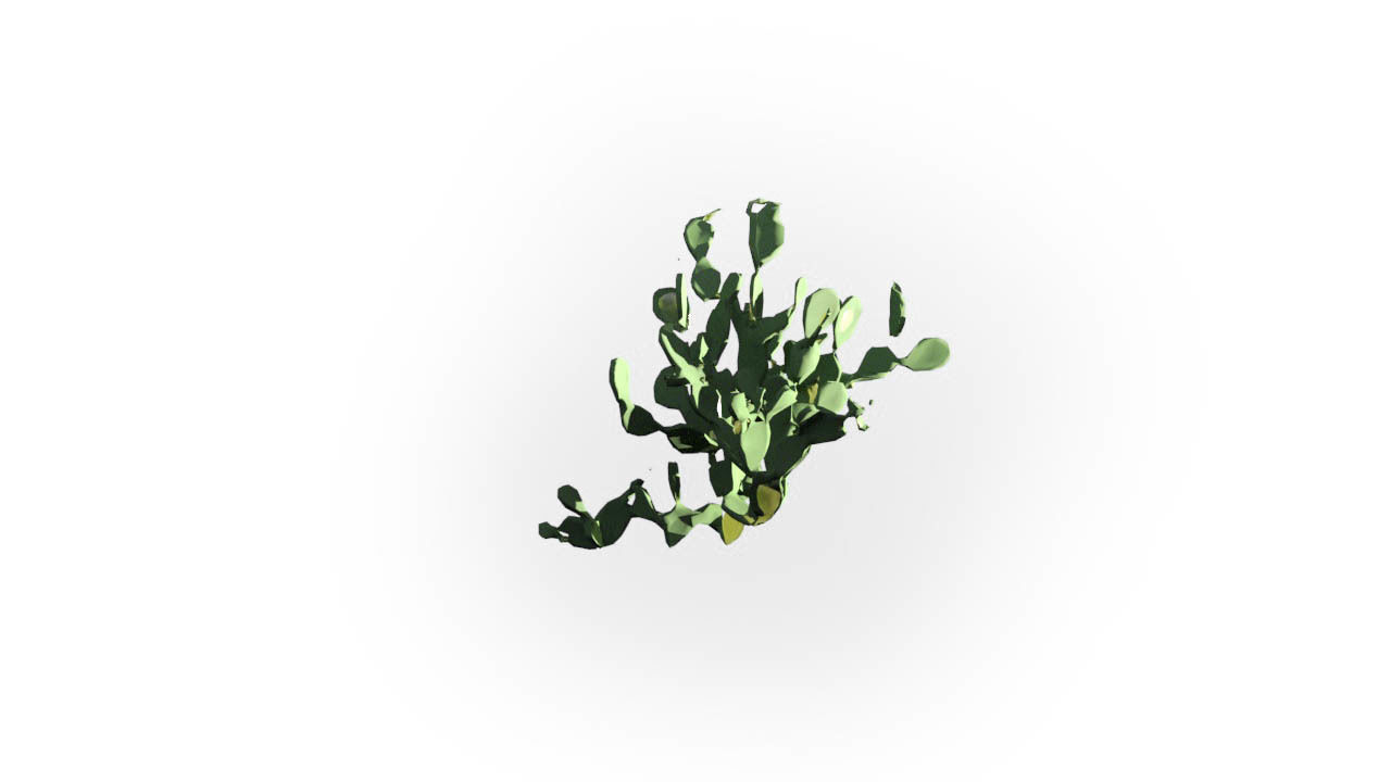 Low Poly Cactus Stylish Low-poly 3D model
