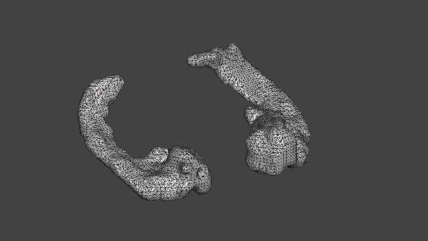 Hippocampus of Brain 3D model 3D printable | CGTrader