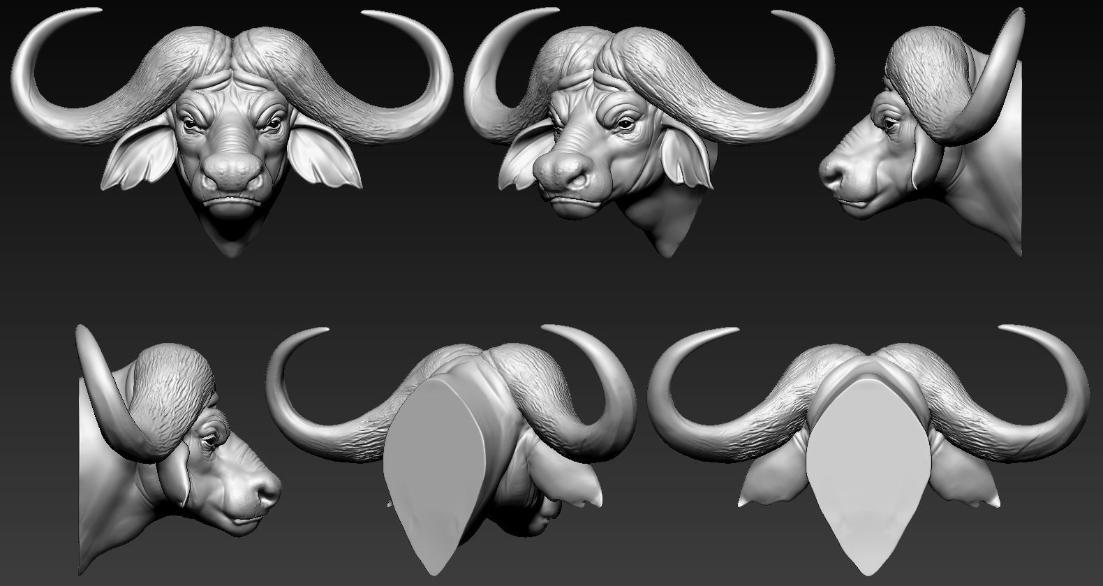 African Buffalo Head01